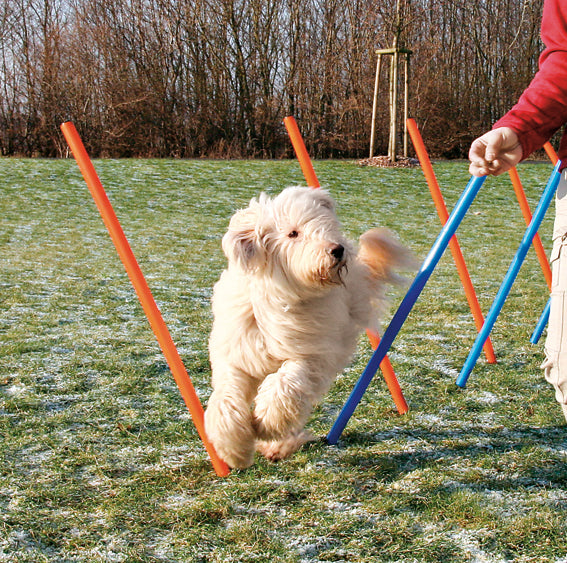 Trixie Agility 12 st Slalompinnar Plast - 115 cm