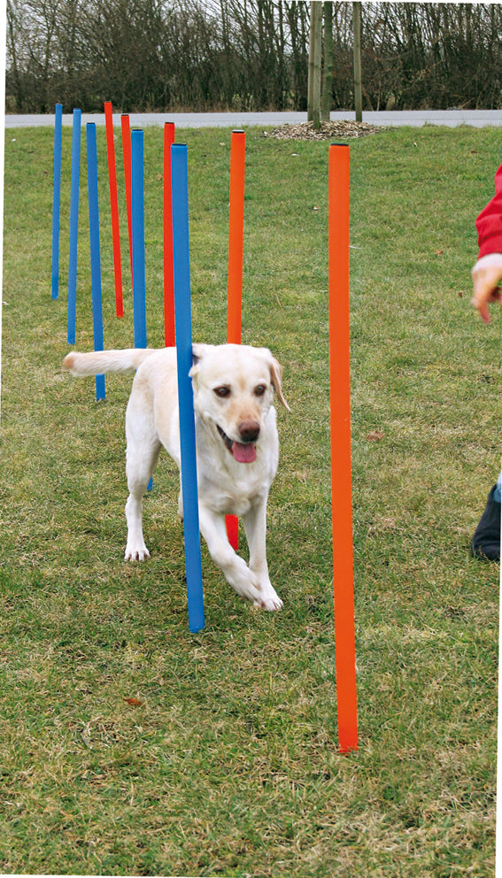 Trixie Agility 12 st Slalompinnar Plast - 115 cm