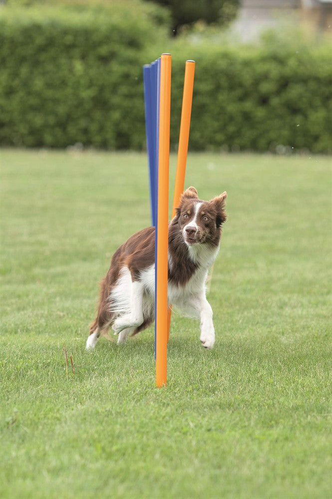 Trixie Agility 12 st Slalompinnar Plast - 115 cm