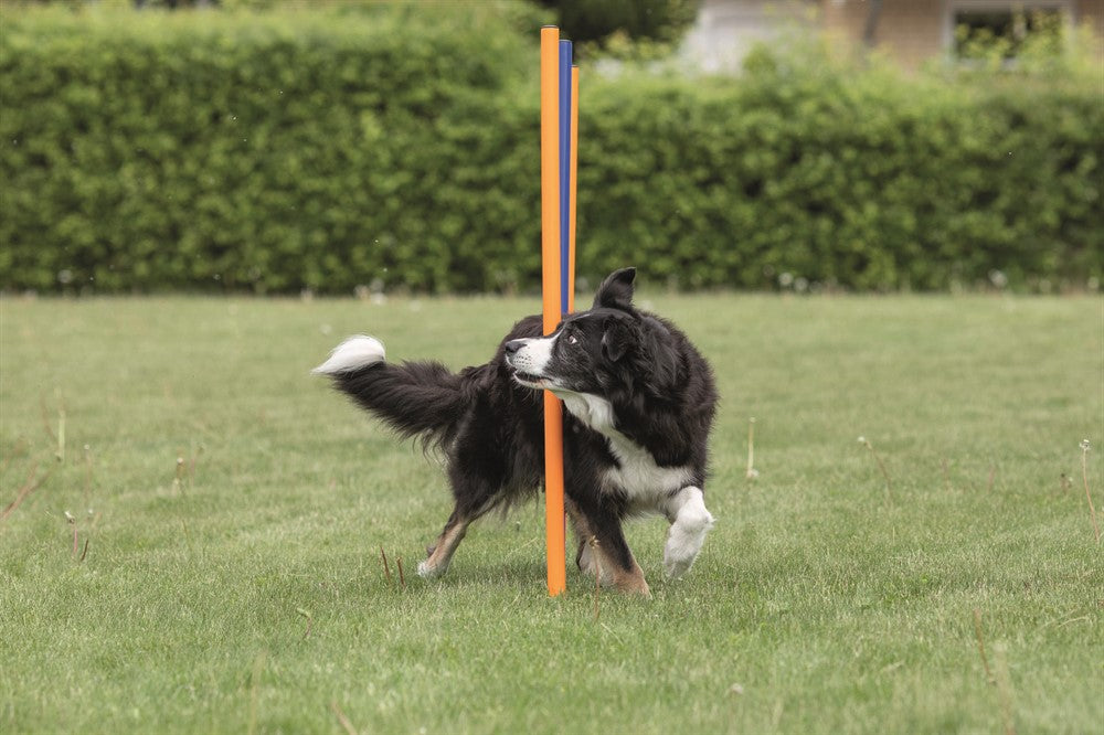 Trixie Agility 12 st Slalompinnar Plast - 115 cm