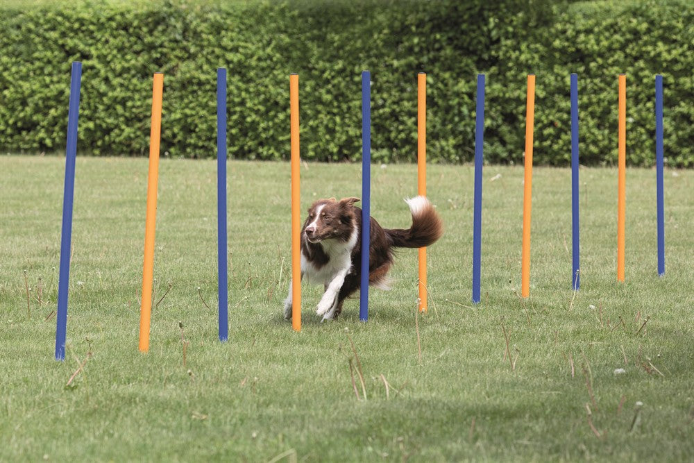 Trixie Agility 12 st Slalompinnar Plast - 115 cm