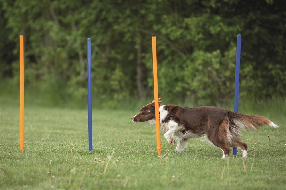 Trixie Agility 12 st Slalompinnar Plast - 115 cm
