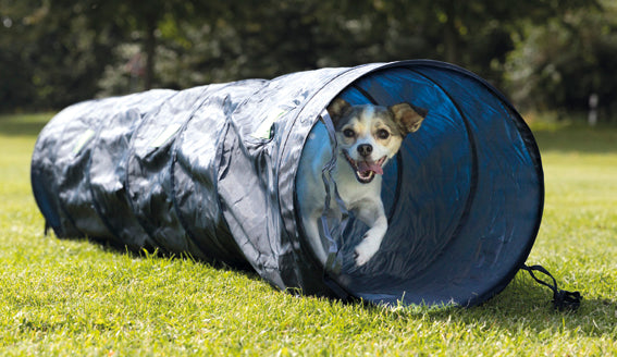 Trixie Agility Tunnel - 40x200 cm