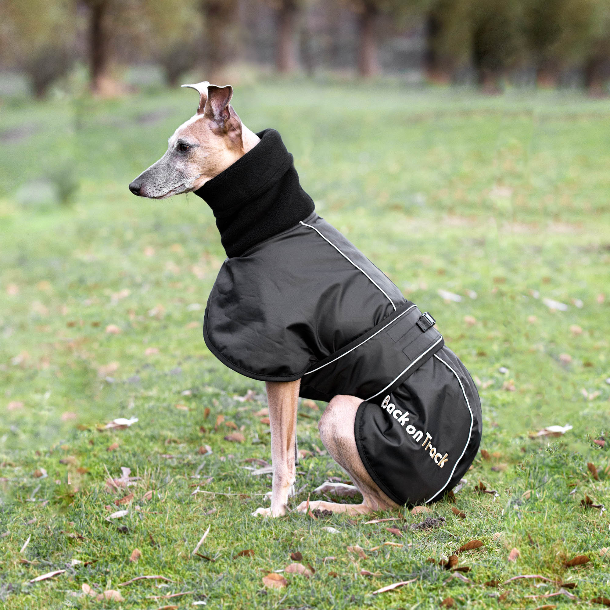 Back on Track Hundtäcke Whippet – Svart