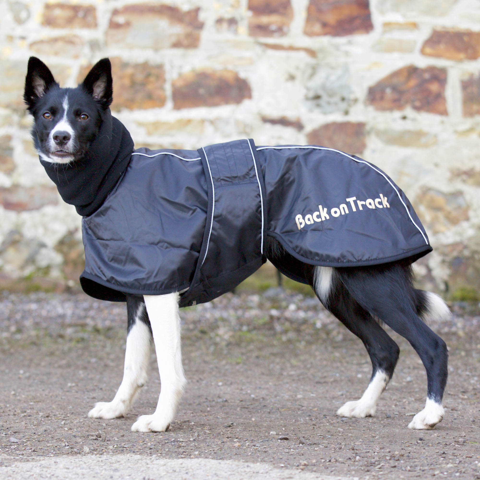 Back on Track Hundtäcke Whippet – Svart