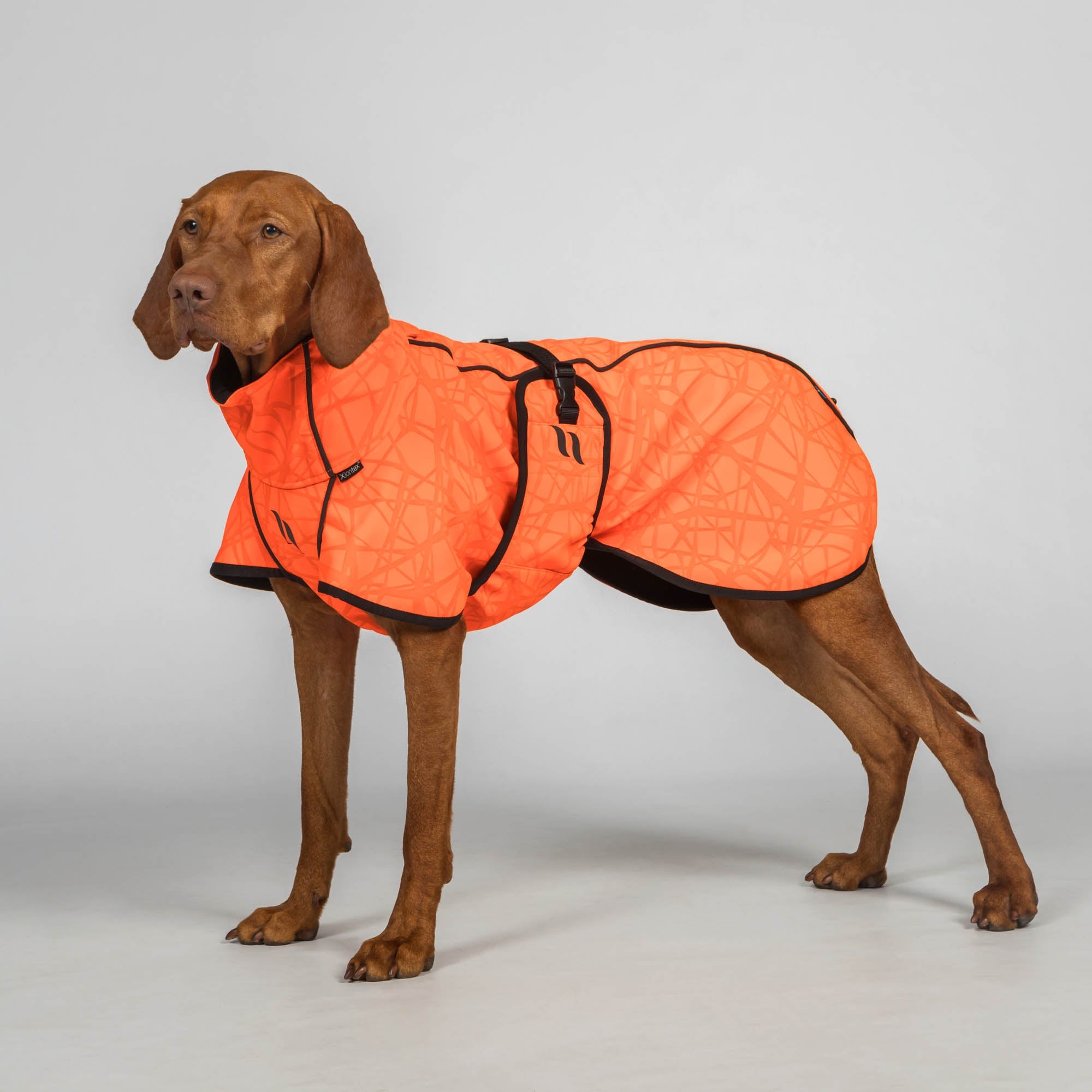 Back on Track BARK Softshelltäcke Högt slut – Orange