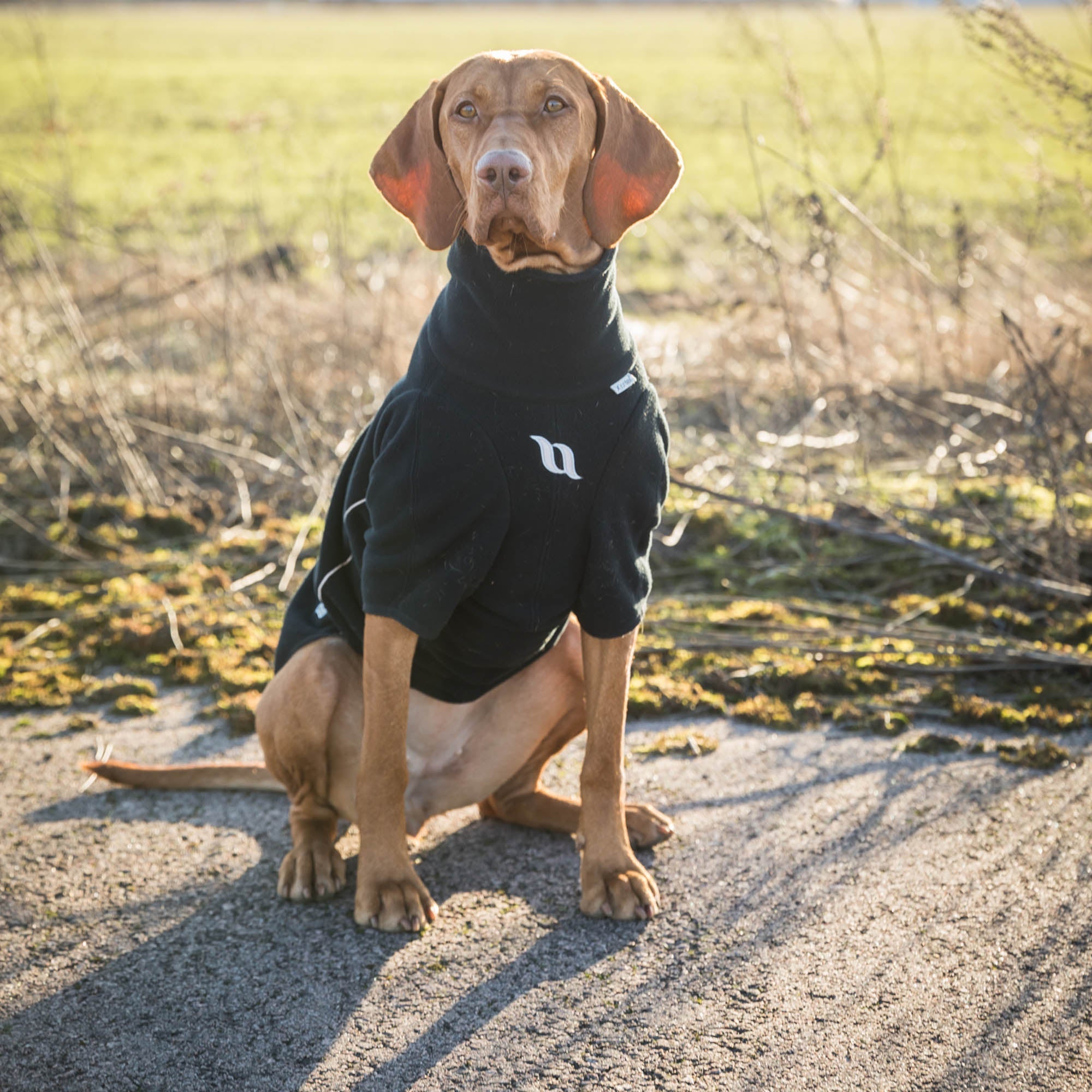Back on Track Cassie Hundtröja – Svart