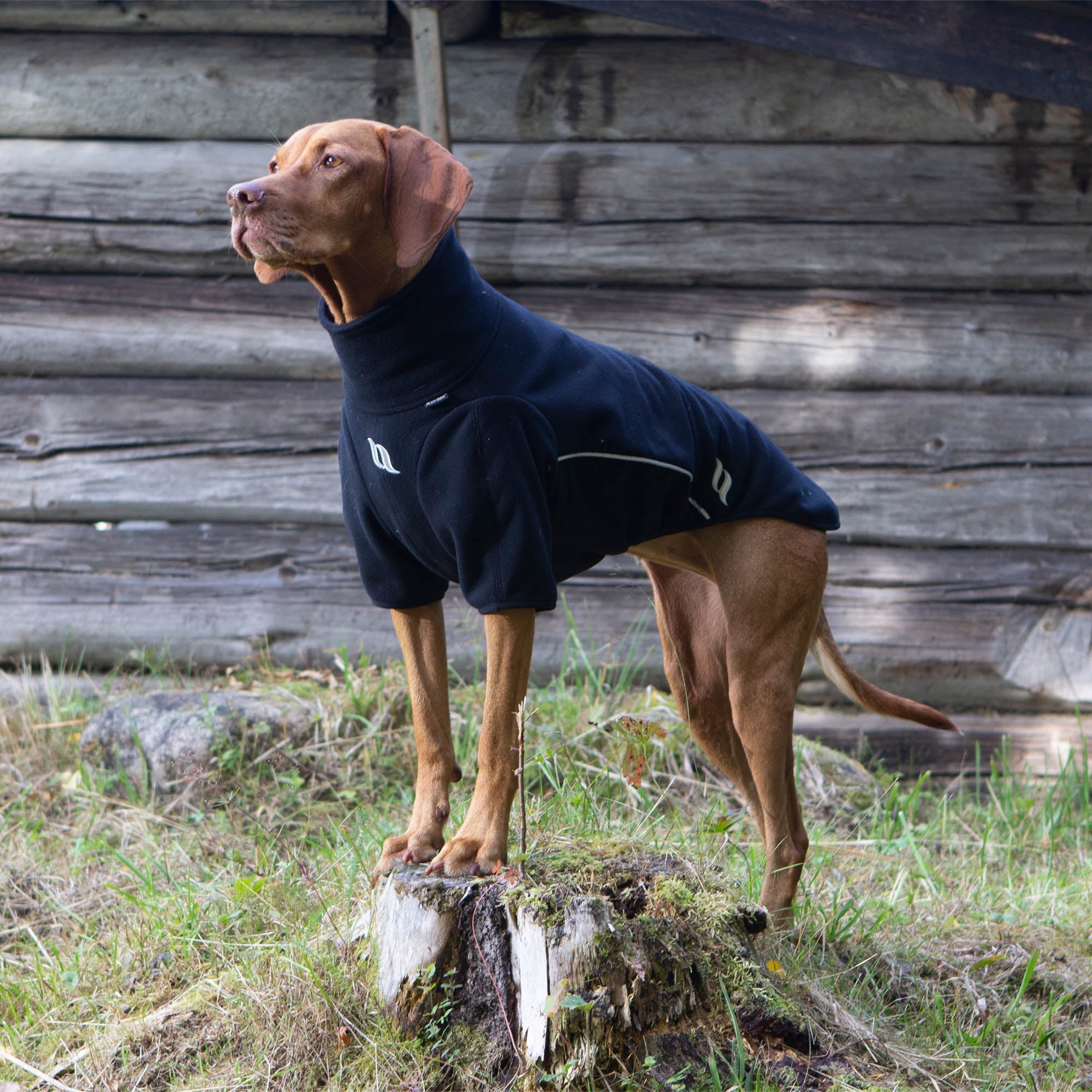 Back on Track Cassie Hundtröja – Svart