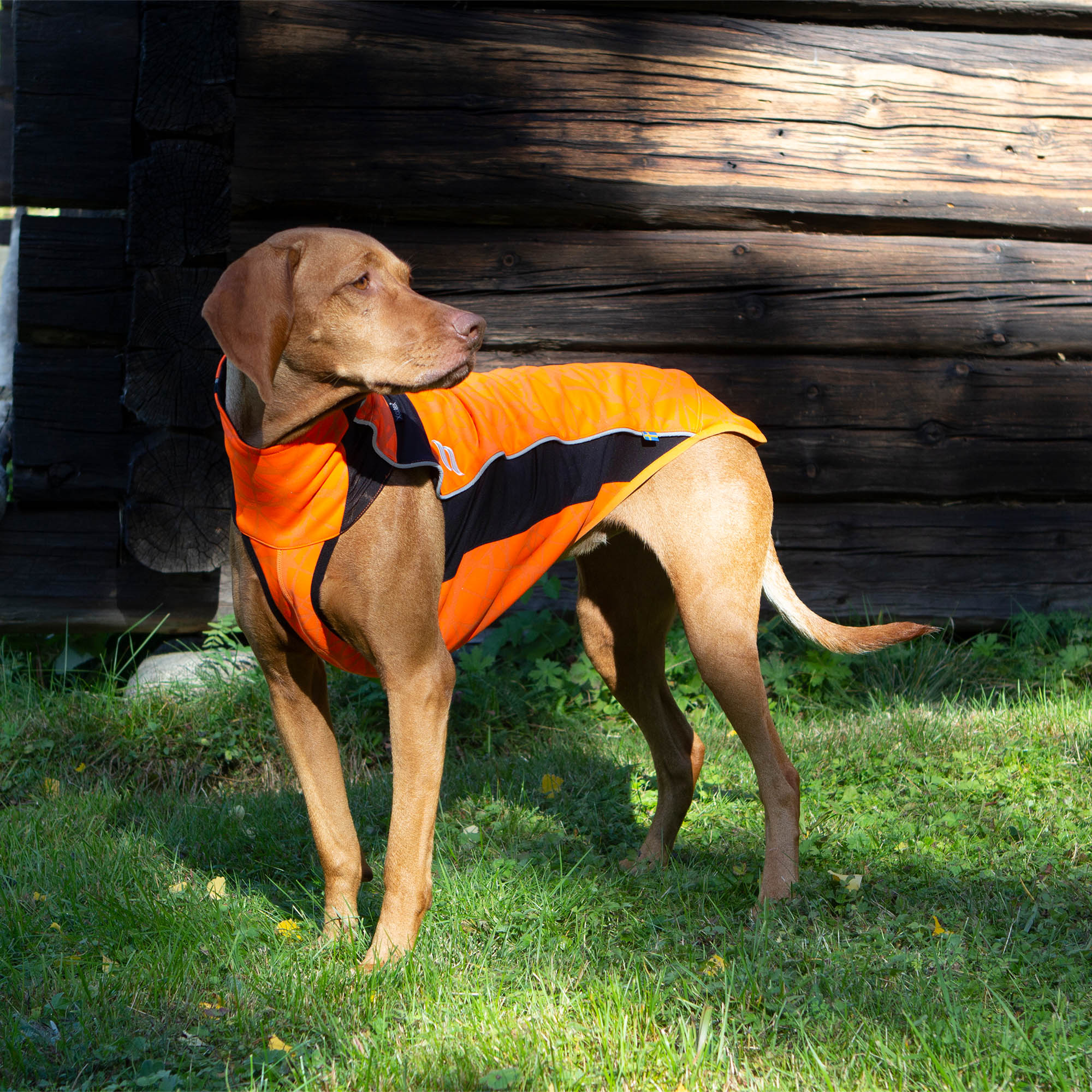 Back on Track Eddie Hundtröja med reflex – Orange