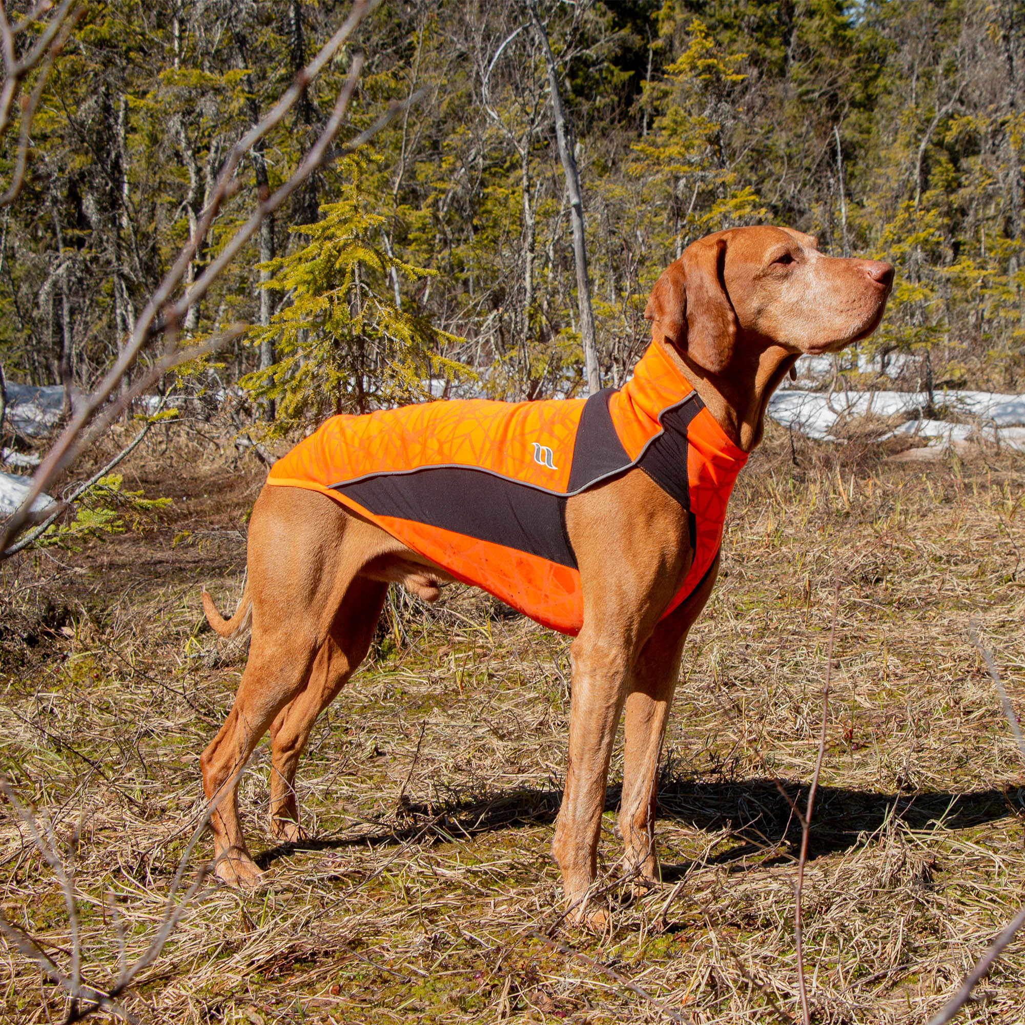 Back on Track Eddie Hundtröja med reflex – Orange