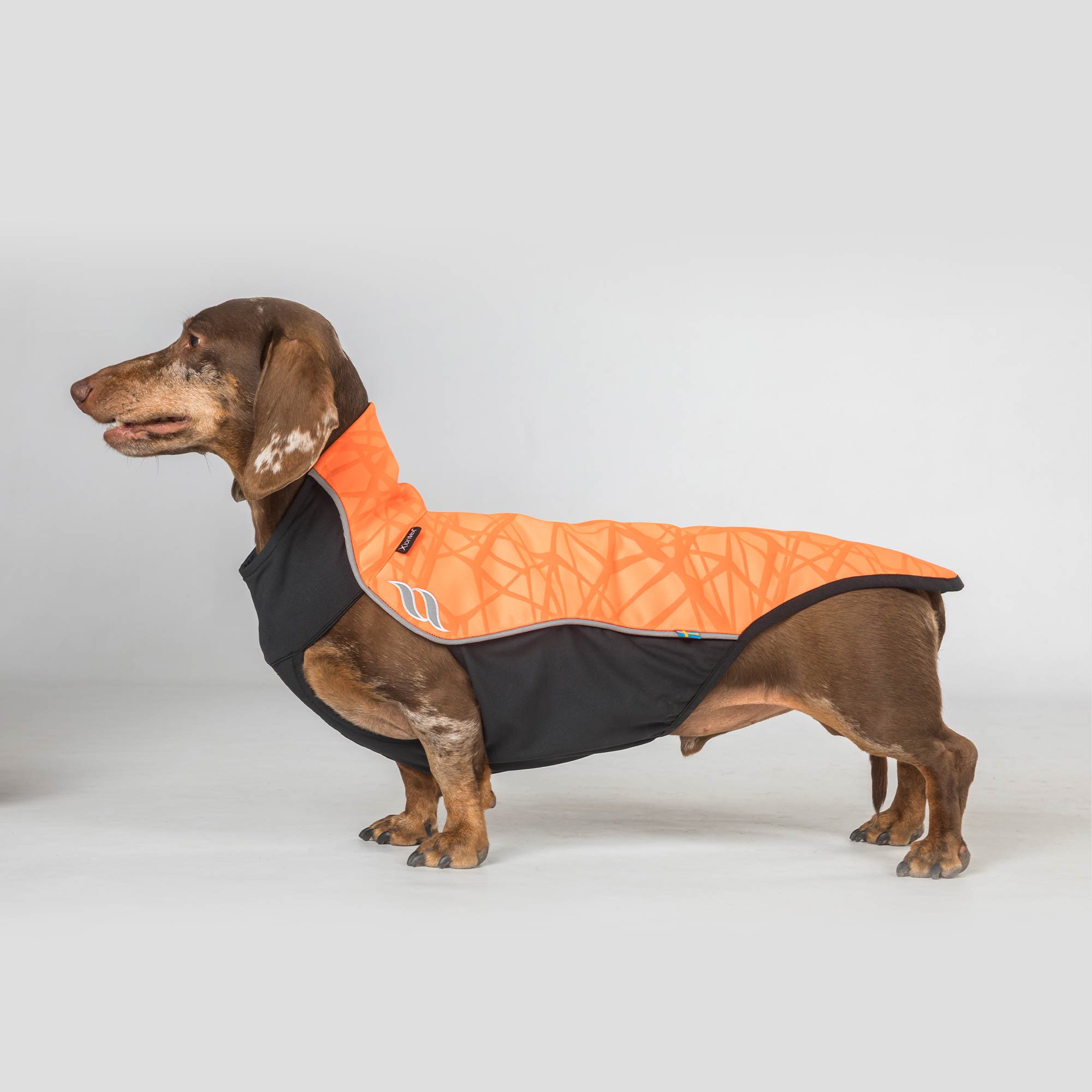 Back on Track Eddie Hundtröja Petite med reflex – Orange