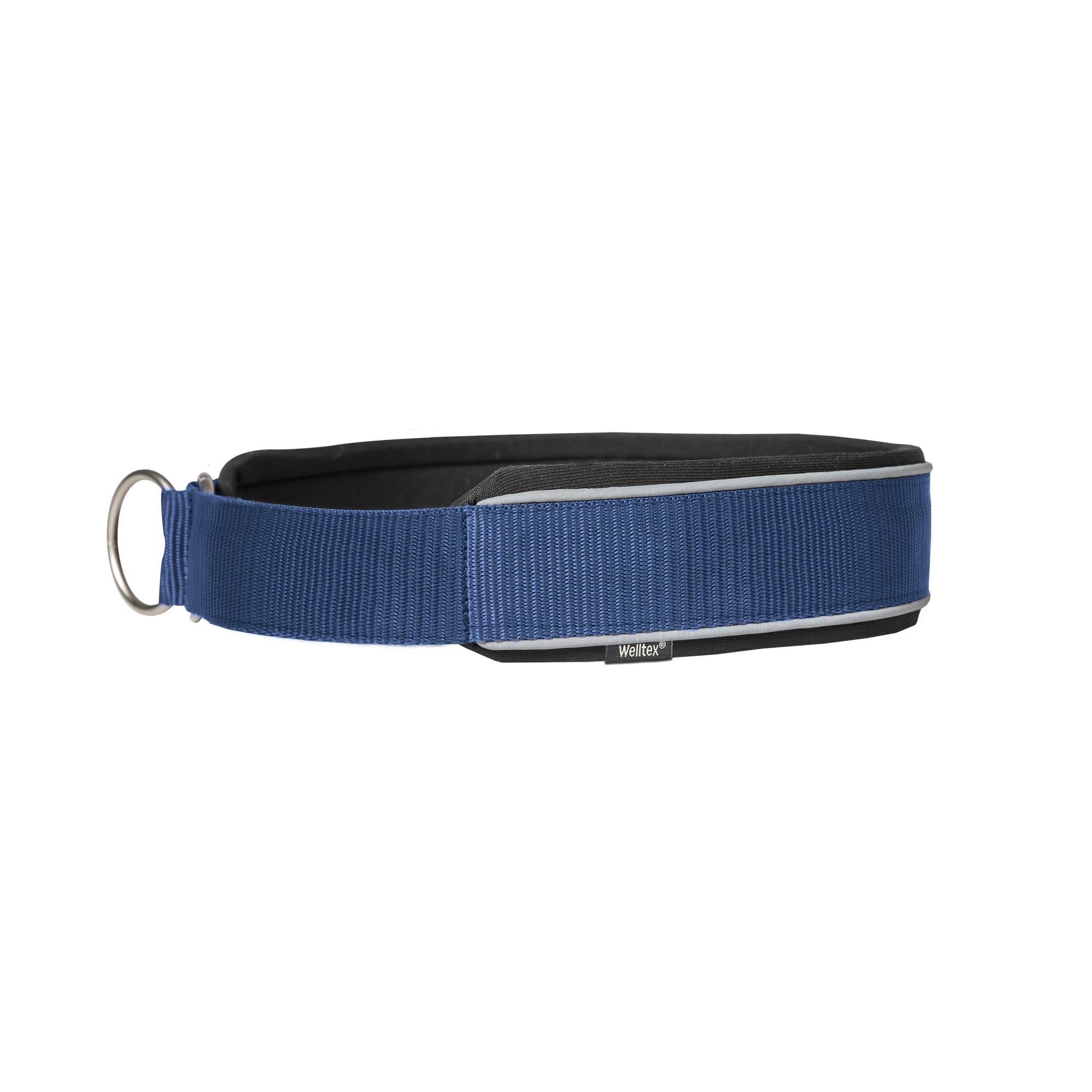 Back on Track Charlie Hundhalsband – Blå