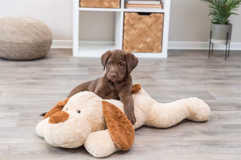 Trixie Hund soft 75 cm - Beige/brun