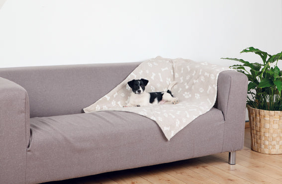 Trixie Kenny filt i plysch 100x75 cm - Beige