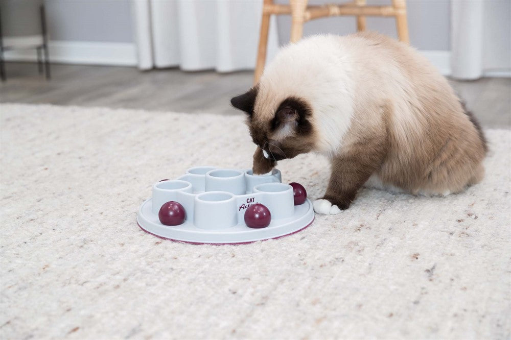 Trixie Cat Activity Pentagon