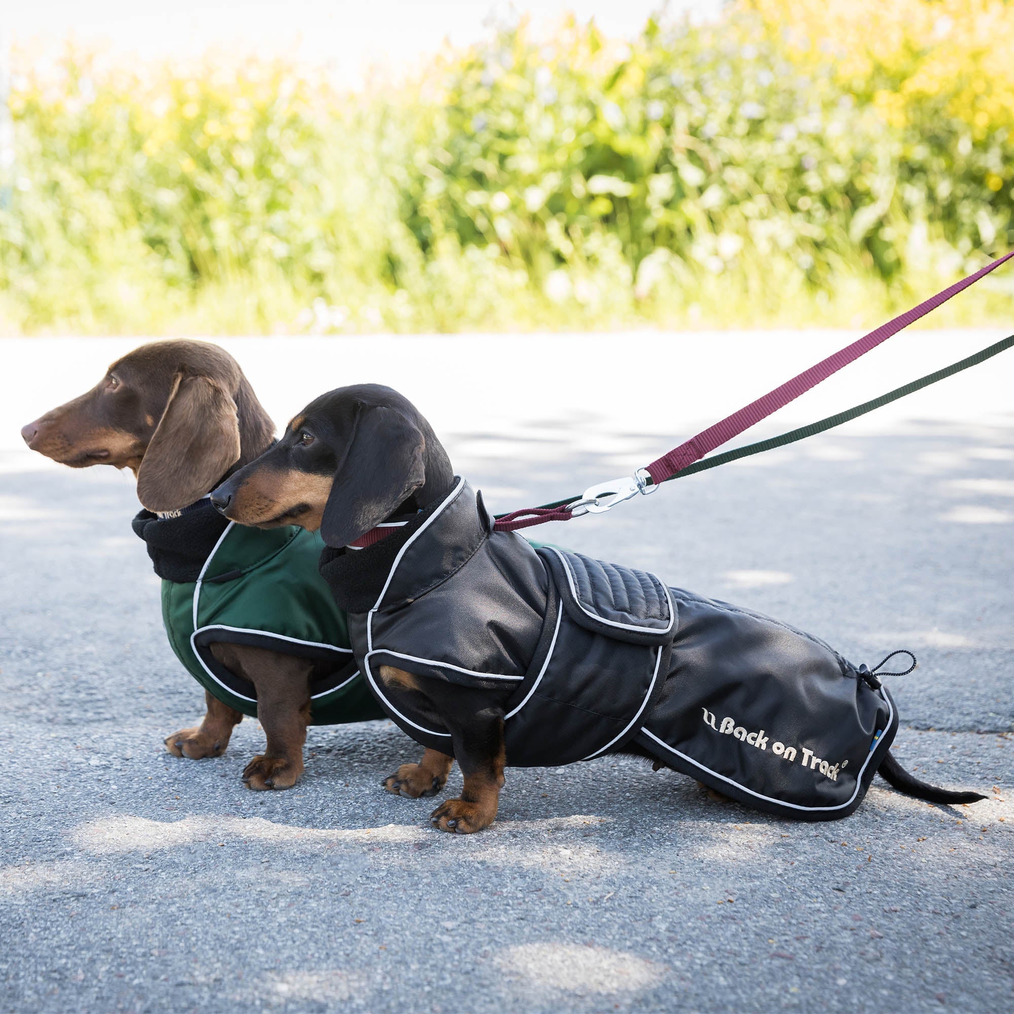 Back on Track Buddy Hundtäcke med lång rygg – Svart
