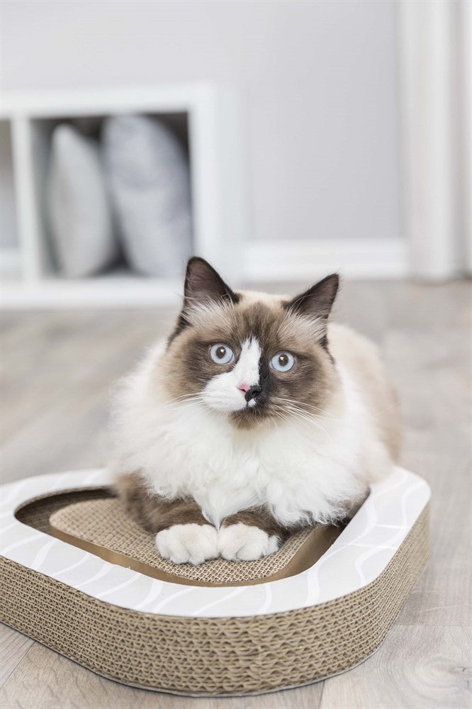 Trixie Klöstriangel med leksak i wellpapp Catnip - 36x5x36/36 cm