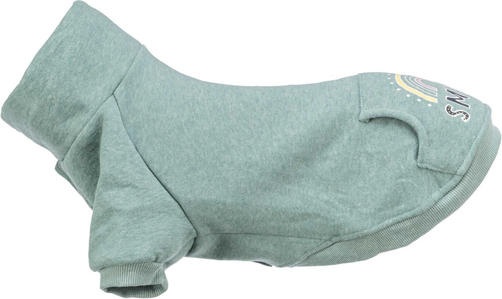 Trixie Sweatshirt Littleton - Mint
