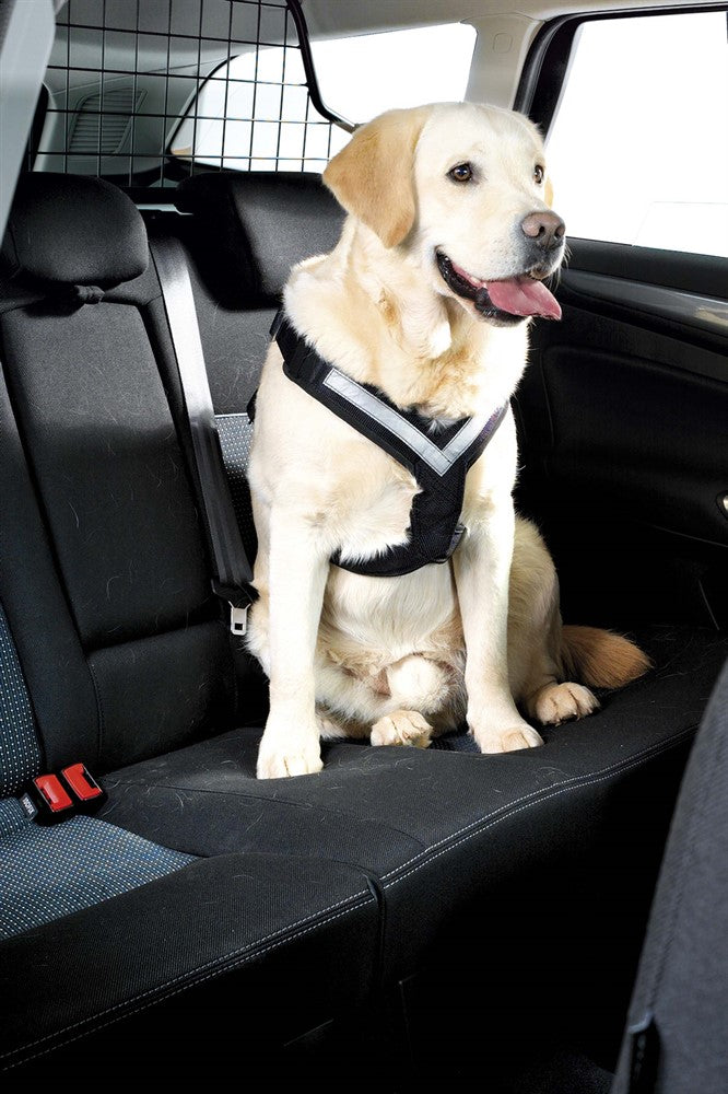 MIM Hundsele AllSafe - Svart