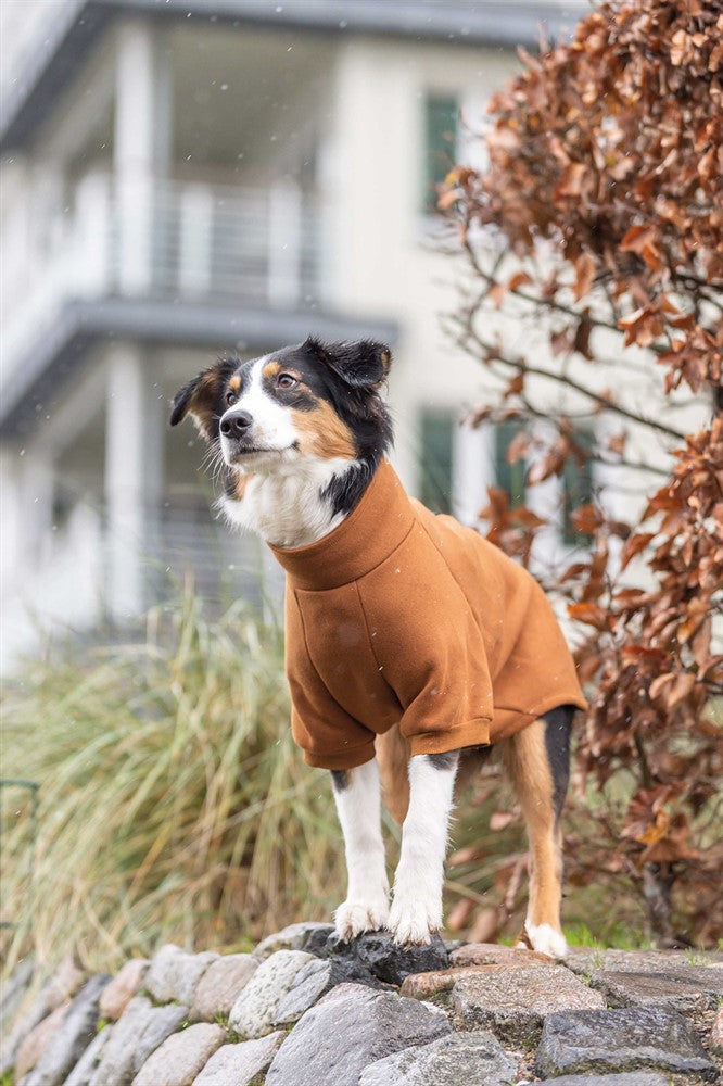 Trixie CityStyle Amsterdam sweatshirt - Rostbrun