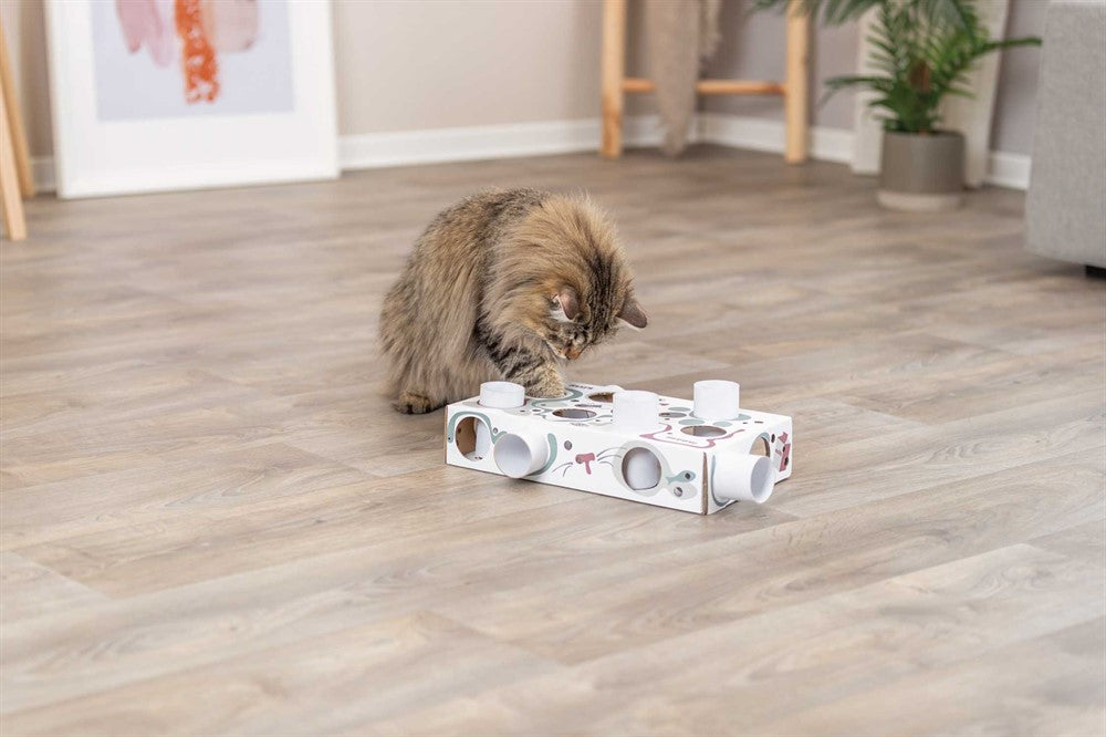 Trixie Cat Activity Paws'n'Treats Box 35x7x20 cm