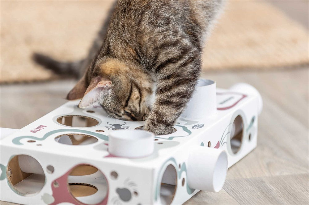 Trixie Cat Activity Paws'n'Treats Box 35x7x20 cm