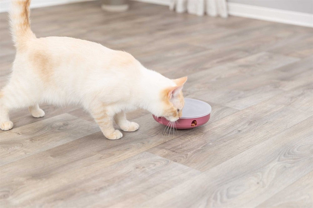 Trixie Cat Activity Rocking Maze plastlabyrint ø 18cm