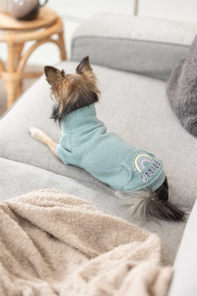 Trixie Sweatshirt Littleton - Mint