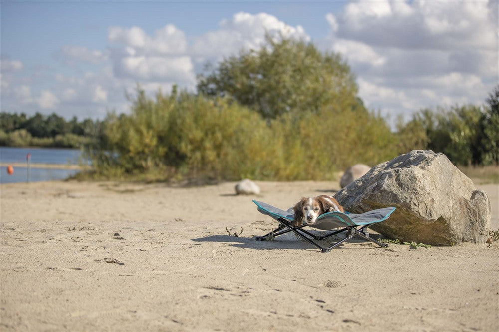 Trixie Campingsäng för hund 69×20×69 cm - Mörkgrå/petrol