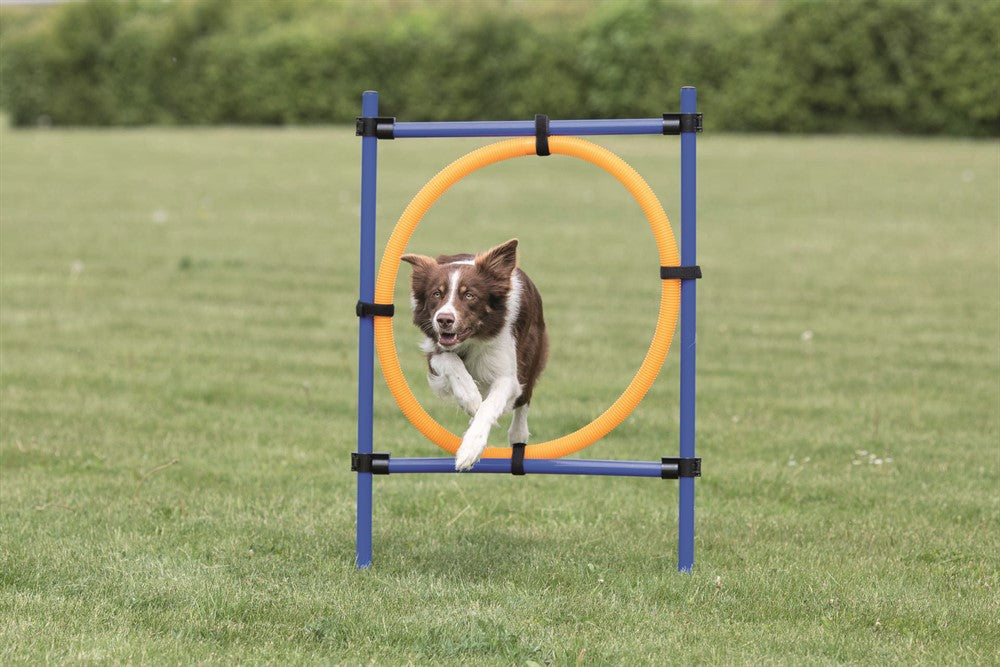 Trixie Agility Hoppring Plast 78x65x115 cm