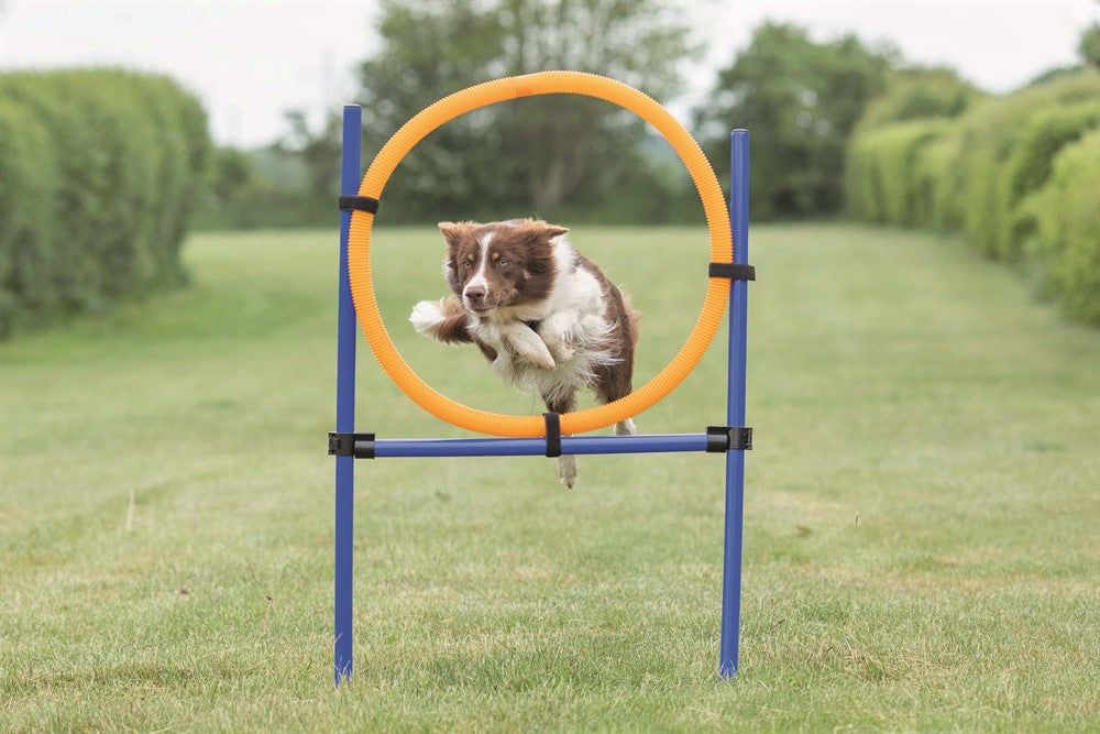 Trixie Agility Hoppring Plast 78x65x115 cm