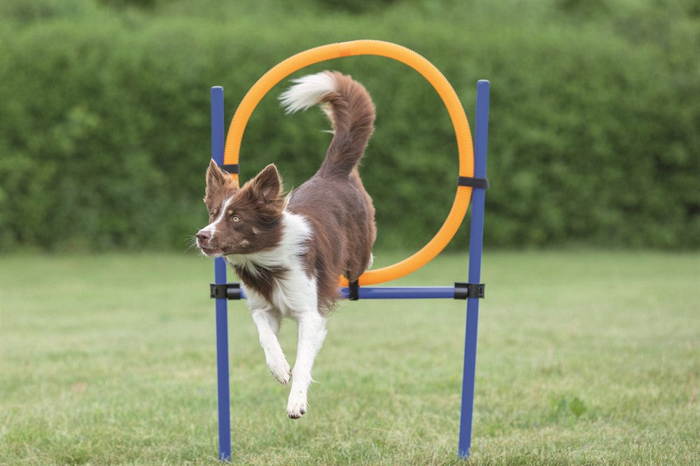 Trixie Agility Hoppring Plast 78x65x115 cm