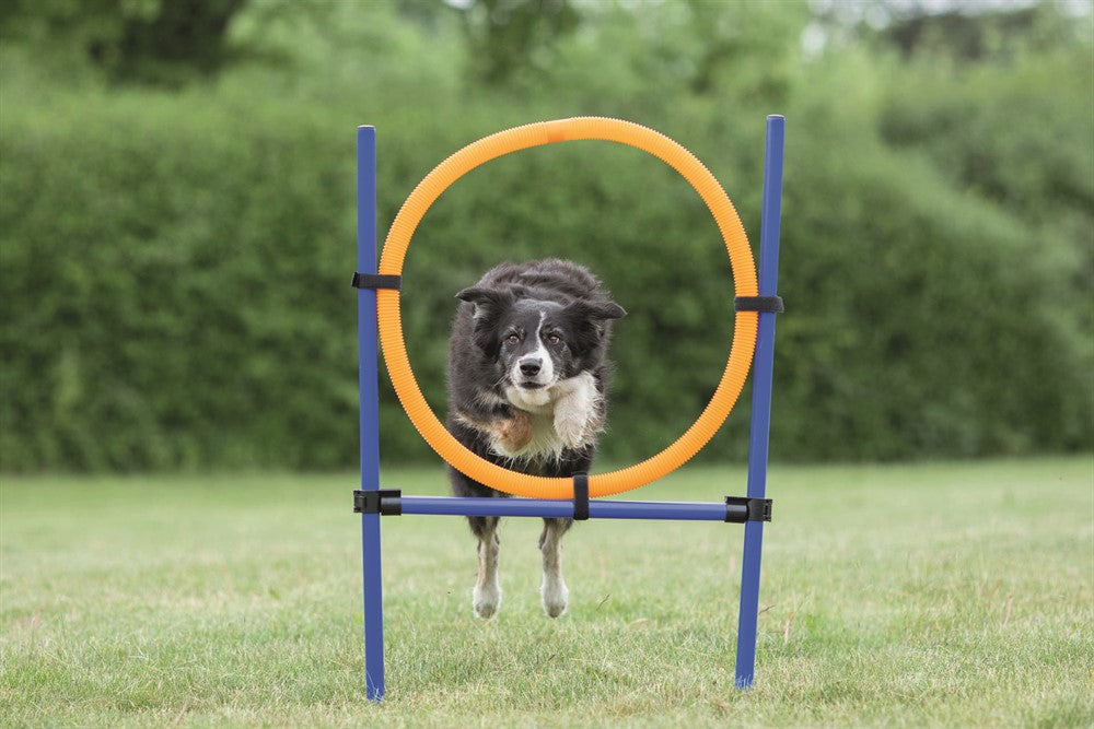 Trixie Agility Hoppring Plast 78x65x115 cm