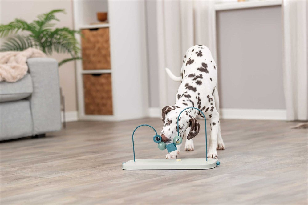 Trixie Dog Activity Skills Loop, Nivå 4 i plast/metall - 43 cm