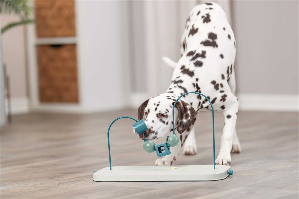Trixie Dog Activity Skills Loop, Nivå 4 i plast/metall - 43 cm
