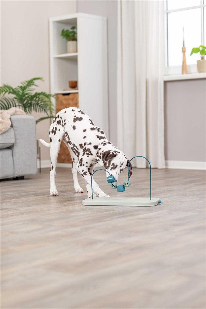 Trixie Dog Activity Skills Loop, Nivå 4 i plast/metall - 43 cm