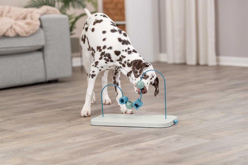 Trixie Dog Activity Skills Loop, Nivå 4 i plast/metall - 43 cm