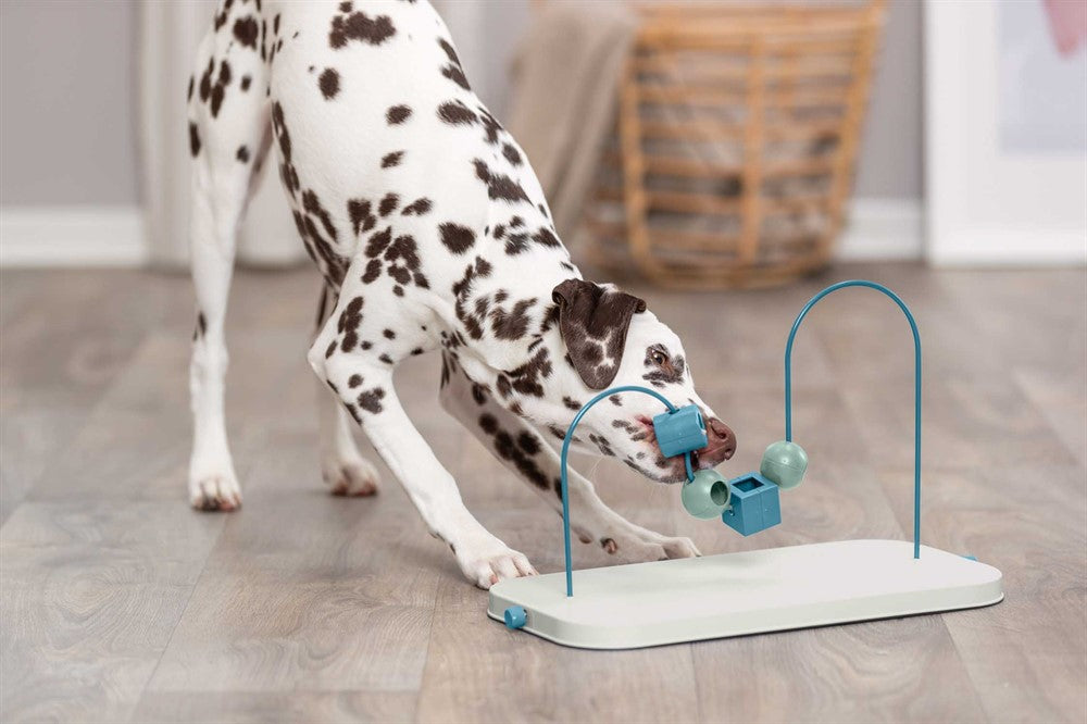 Trixie Dog Activity Skills Loop, Nivå 4 i plast/metall - 43 cm
