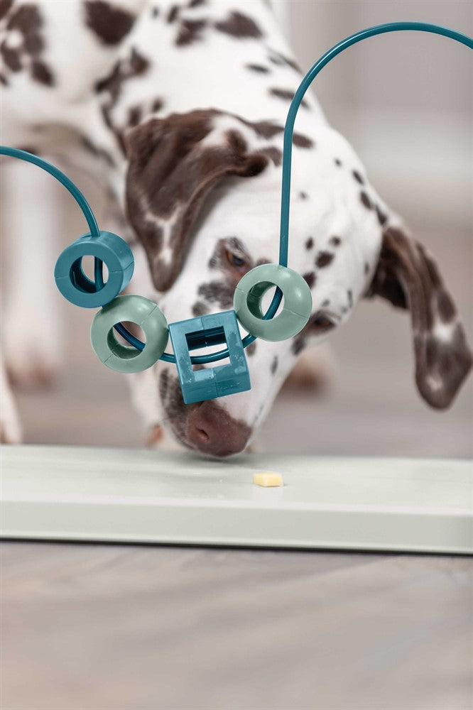 Trixie Dog Activity Skills Loop, Nivå 4 i plast/metall - 43 cm