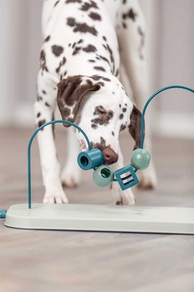 Trixie Dog Activity Skills Loop, Nivå 4 i plast/metall - 43 cm