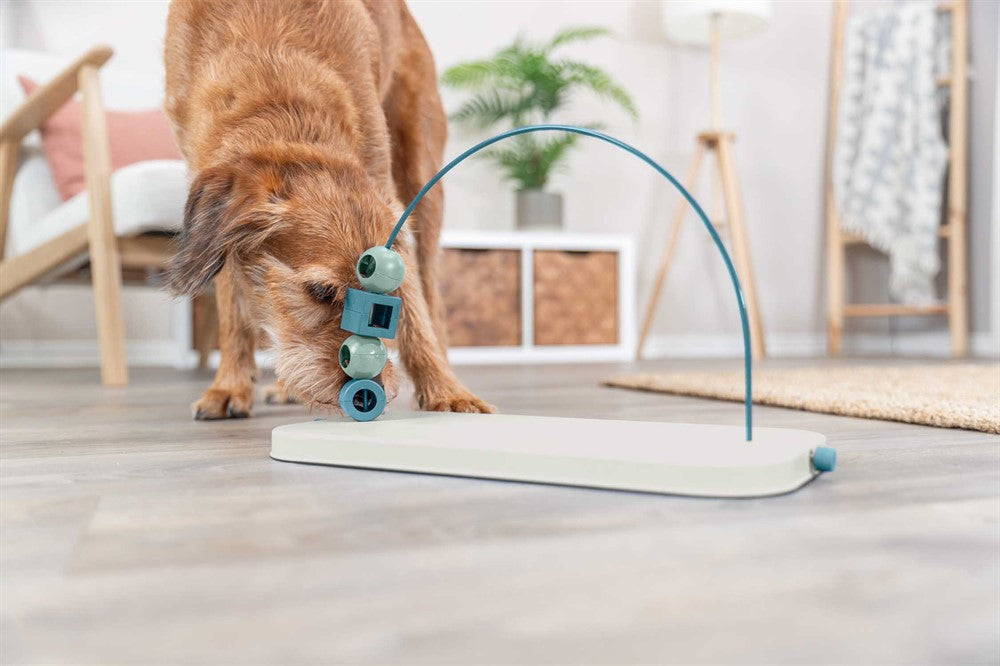 Trixie Dog Activity Skills Loop, Nivå 4 i plast/metall - 43 cm