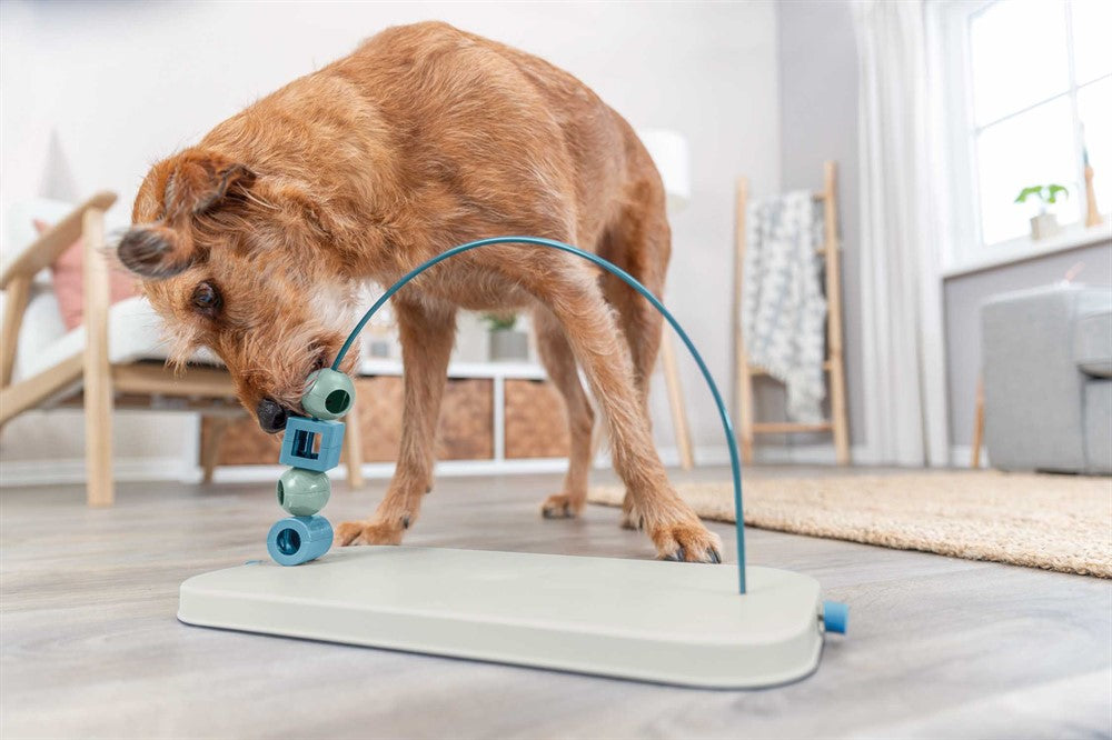 Trixie Dog Activity Skills Loop, Nivå 4 i plast/metall - 43 cm