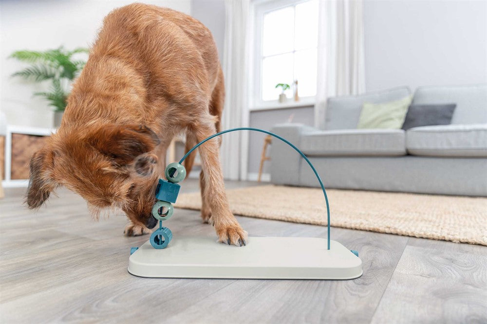 Trixie Dog Activity Skills Loop, Nivå 4 i plast/metall - 43 cm