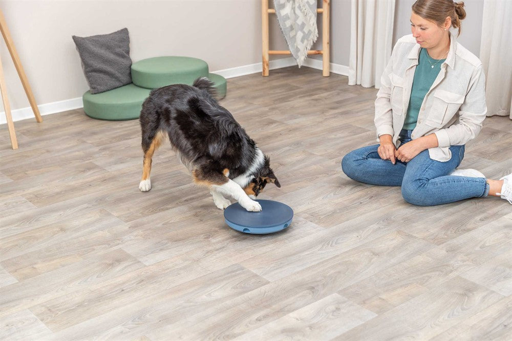 Trixie Dog Activity Rocking Maze, Nivå 1 i plastlabyrint - ø 28 cm