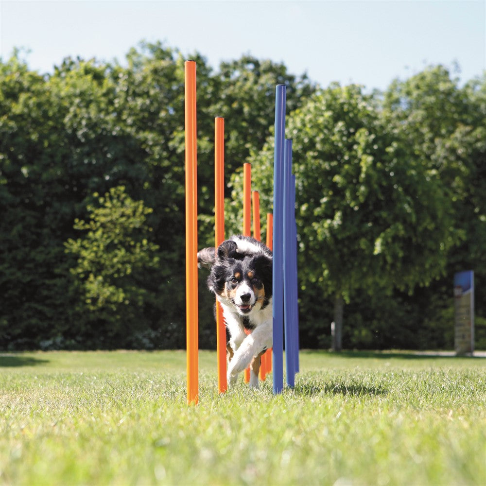 Trixie Agility 12 st Slalompinnar Plast - 115 cm