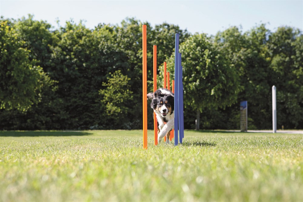 Trixie Agility 12 st Slalompinnar Plast - 115 cm