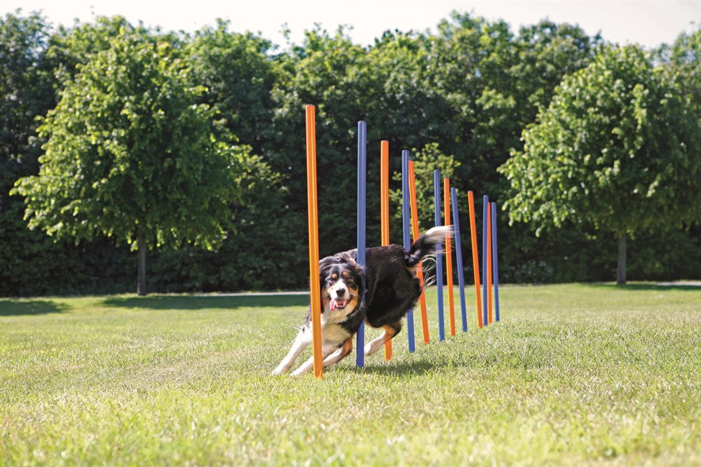 Trixie Agility 12 st Slalompinnar Plast - 115 cm