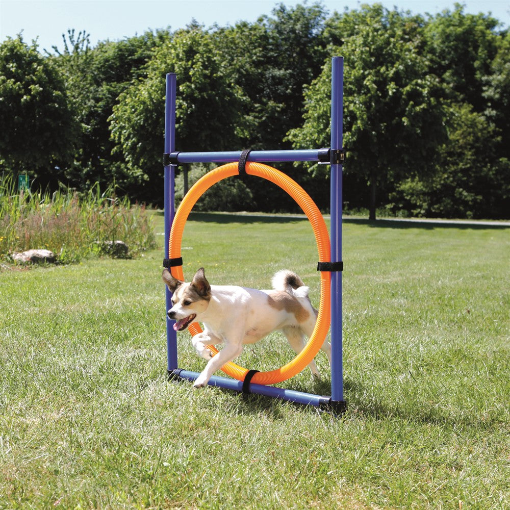 Trixie Agility Hoppring Plast 78x65x115 cm