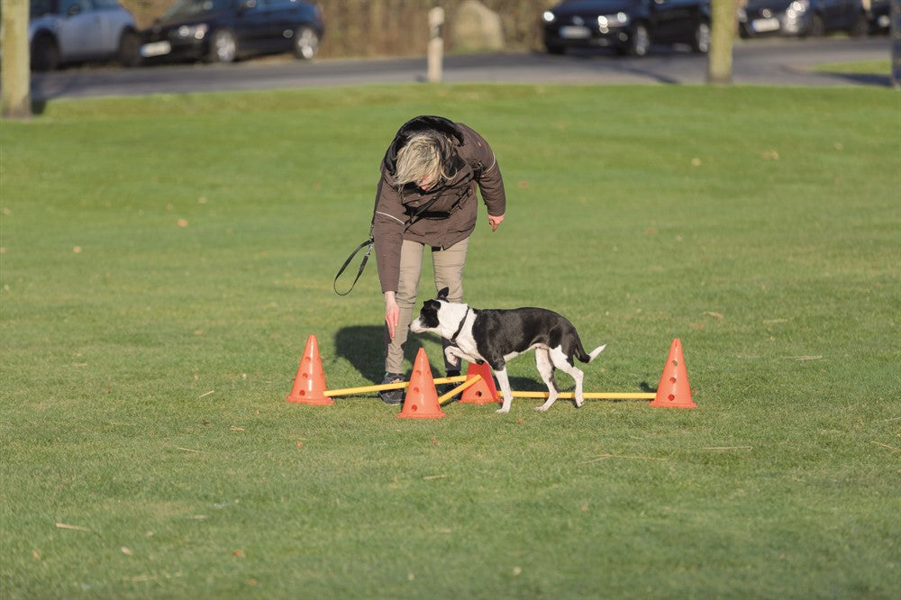 Trixie Dog Activity Hinderset 3 hinder - ø23×30cm & 78cm