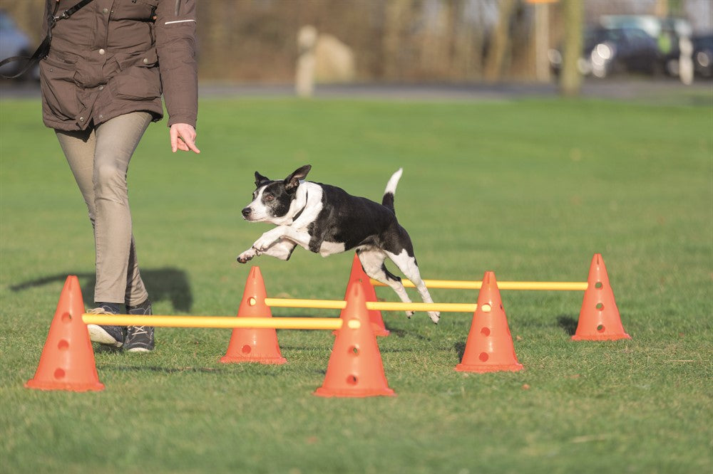 Trixie Dog Activity Hinderset 3 hinder - ø23×30cm & 78cm